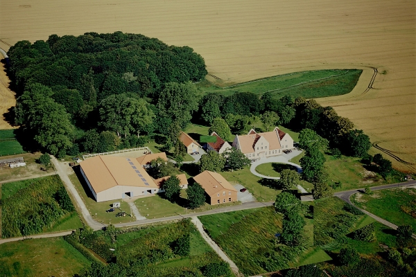 Hotel Gut Tribbevitz